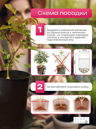 PINK FLAMINGO (ПИНК ФЛАМИНГО) №09