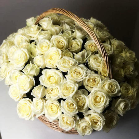 Корзина из 151 розы Avalanche