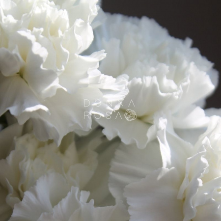 Свадебный букет "Облако" Свадебный букет "Облако"