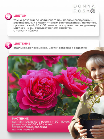 SIR JOHN BETJEMAN (СИР ДЖОН БЕТДЖЕМАН) №02