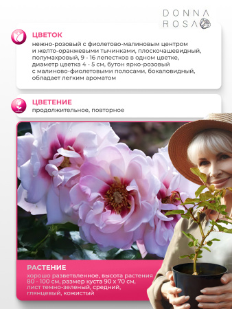 CHEWDELIGHT (ЧЬЮДЕЛАЙТ) №74