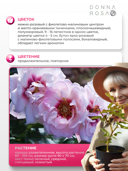 CHEWDELIGHT (ЧЬЮДЕЛАЙТ) №74