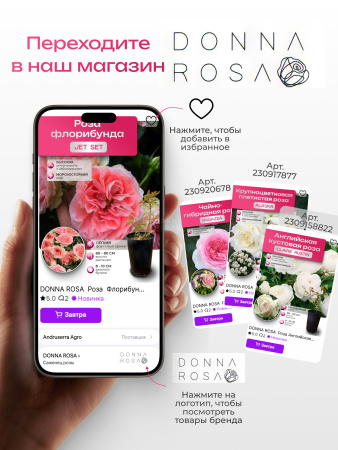 SOPHY'S ROSE (СОФИ РОУЗ) №116