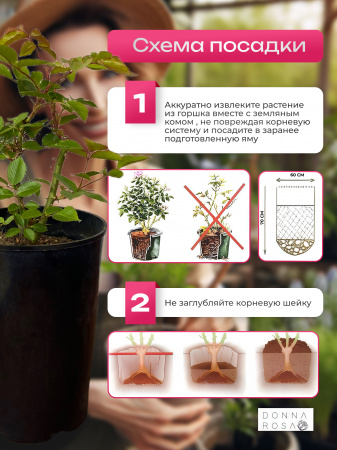 PAUL GAUGUIN (ПОЛ ГУГЕН) №56