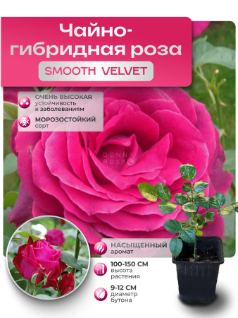 SMOOTH VELVET (СМУС ВЕЛЬВЕТ) №106