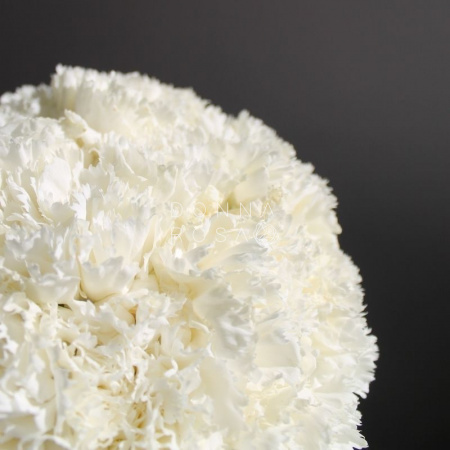 Свадебный букет "Облако" Свадебный букет "Облако"