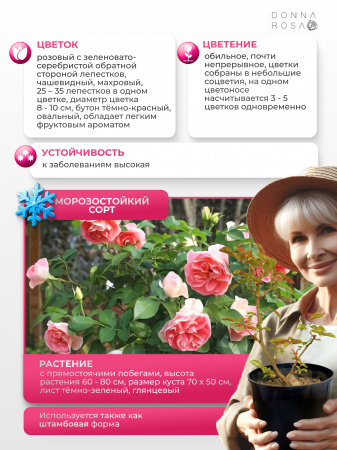 JET SET (ДЖЕТ СЕТ) №32