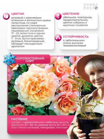 WOMEN'S CHOICE (ВУМЕНС ЧОЙС) №84