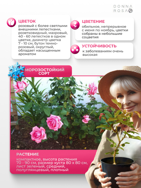 PINK FLAMINGO (ПИНК ФЛАМИНГО) №09