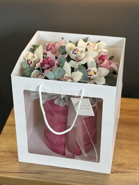 Коробка с цимбидиумом Feel