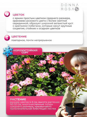 PRETTY GIRL (ПРИТТИ ГЕРЛ) №07