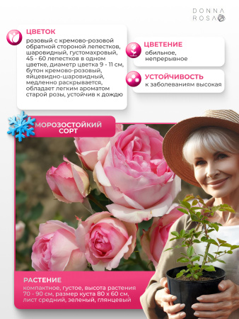 HISTORY (ХИСТОРИ) №77