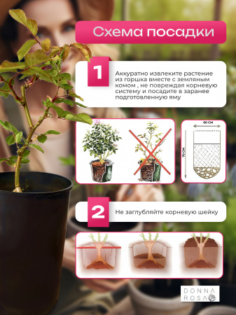 INA AN MONA (ИНА АН МОНА) №06