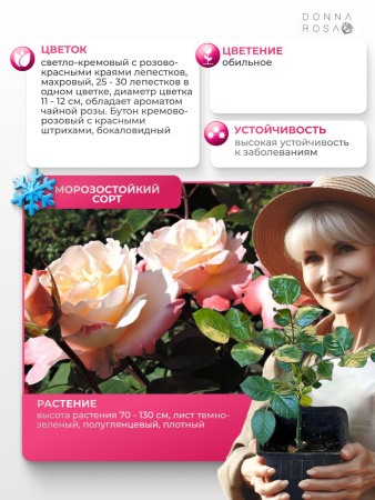 LAETITIA CASTA (ЛАТЕТИА КАСТА) № 114