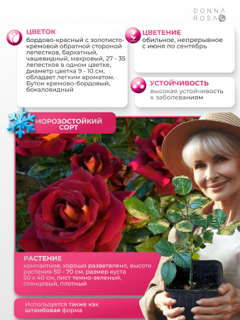 EDDY MITCHELL (ЭДДИ МИТЧЕЛ) №109