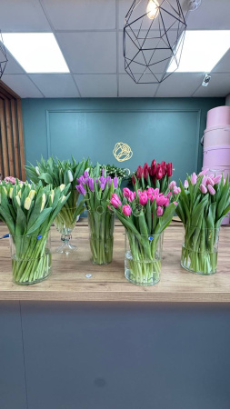тюльпаны в ассортименте