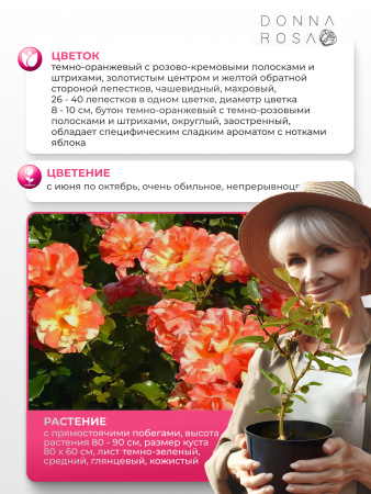 ALFRED SISLEY (АЛЬФРЕД СИСЛЕЙ) №67