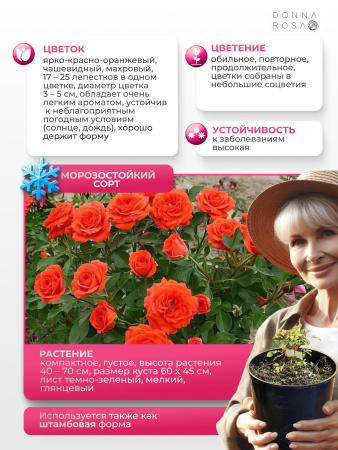 TOP MARKS (ТОП МАРКС) №31