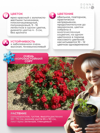 XPERT (ЭКСПЕРТ) №73