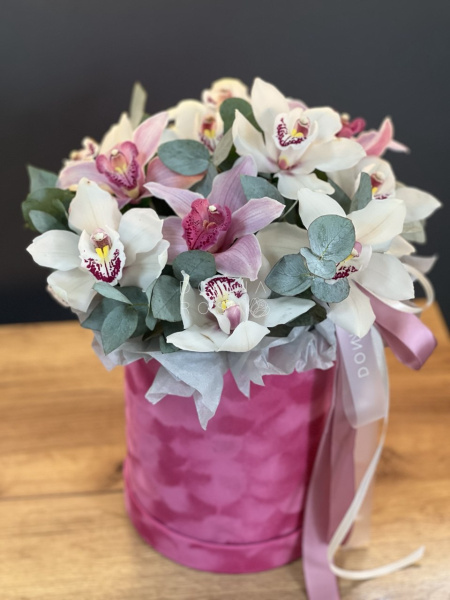 Коробка с цимбидиумом Feel