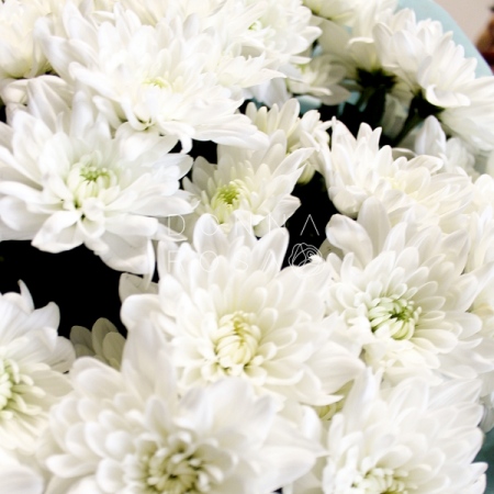 Букет из хризантемы