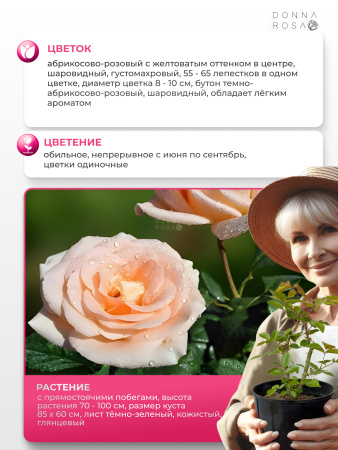 ACAPULCO (АКАПУЛЬКО) №63