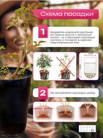 PICK’N GO (ПИК ЭН ГОУ) №35