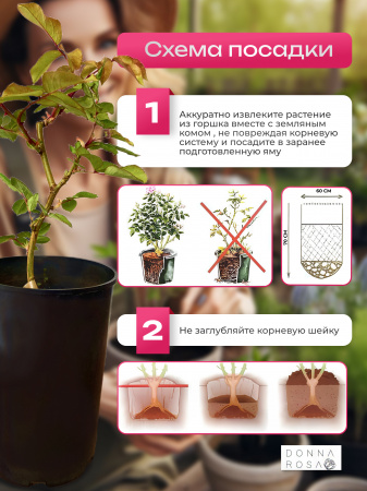 PURPLE RAIN (ПЕРПЛ РЭИН) №11