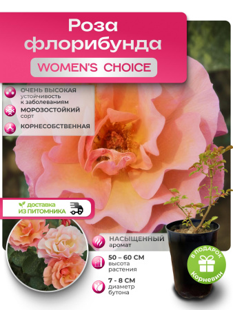 WOMEN'S CHOICE (ВУМЕНС ЧОЙС) №84