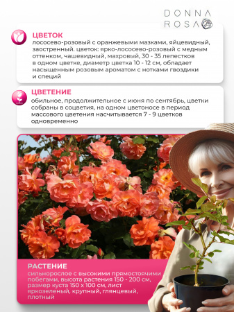 WESTERLAND (ВЕСТЕРЛЭНД) №15