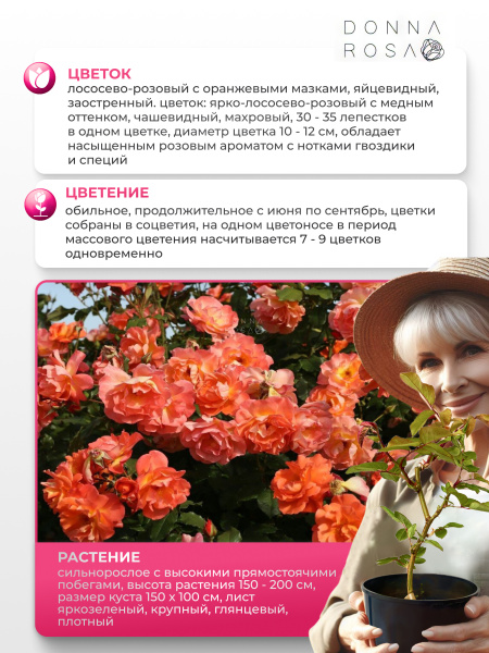 WESTERLAND (ВЕСТЕРЛЭНД) №15