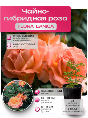 FLORA DANICA (ФЛОРА ДАНИКА) №69