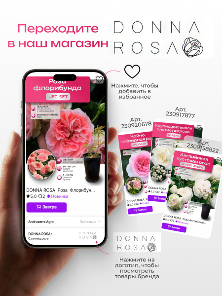 LAVENDER MEILLANDINA (ЛАВЕНДЕР МЭЙЛАНДИНА) №66