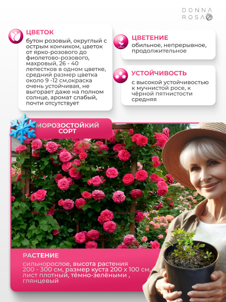 MARITIM (МАРИТИМ) №65