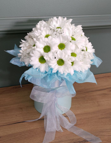 Композиция в коробке "Chamomile" Композиция в коробке "Chamomile"