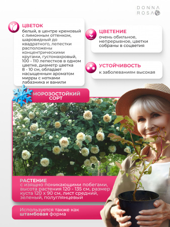 CLAIRE AUSTIN (КЛЭР ОСТИН) №05